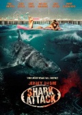 Jersey Shore Shark Attack