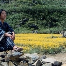 無言的山丘