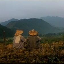 無言的山丘