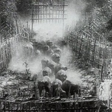 大象：荒野傳說