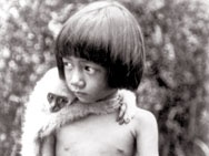 大象：荒野傳說