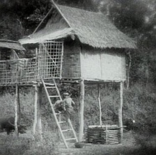 大象：荒野傳說