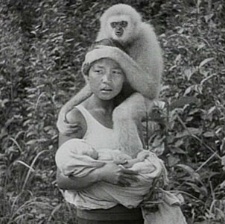 大象：荒野傳說