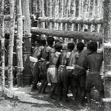 大象：荒野傳說