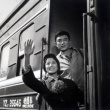 年青的一代