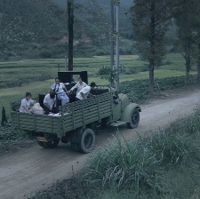 那年初夏