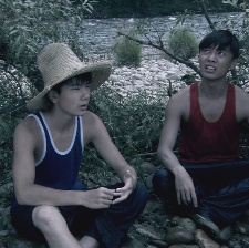那年初夏