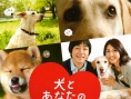 狗狗与你的故事
