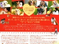 狗狗与你的故事