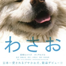 秋田犬蓬夫