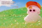 其實(shí)我哪里也不想去，我很喜歡現(xiàn)在這樣。