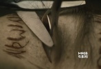 ???“宗教酷刑”