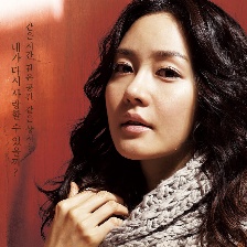 兔子和蜥蜴