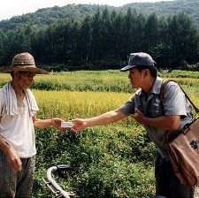 太陽下的光線