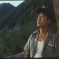 太陽下的光線