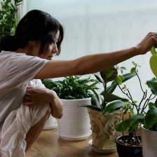 素食主義者