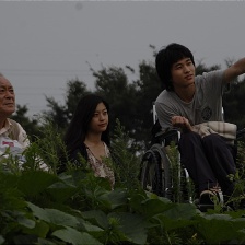 粉紅海豚