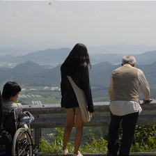 粉紅海豚