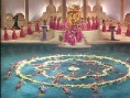 出水芙蓉