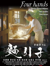 面引子