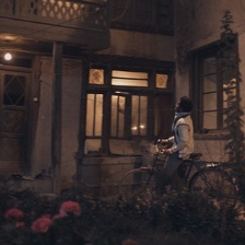 黑郁金香