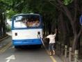 能看見首爾嗎？