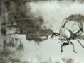 乡虫