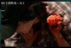 2006年《突然某一天》第四個(gè)小故事《死亡之叢》，幾個(gè)青年進(jìn)擅自走進(jìn)被禁止進(jìn)入的叢林里，卻一個(gè)個(gè)變成了像僵尸一樣攻擊彼此，用各種殘忍的方式互相殺害。為了生存，哥哥宇振和女朋友正雅不得不下定決定殺掉攻擊自己的弟弟，并用鐵鍬砍掉了弟弟的頭顱，然而恐怖的事情還在繼續(xù)……影片中的殘肢斷臂和燒焦尸體，絕對(duì)是在考驗(yàn)觀眾的忍吐能力。