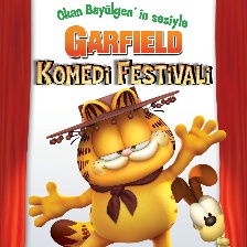 加菲猫的狂欢节