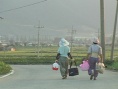 農(nóng)民的藥房