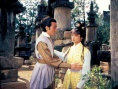 泰山屠龙