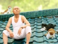 小猫跳出来3D