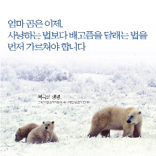 北極的眼淚
