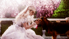 嘉宾集体炮轰长大的爱丽丝 《爱丽丝梦游仙境》