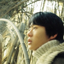 修剪葡萄藤
