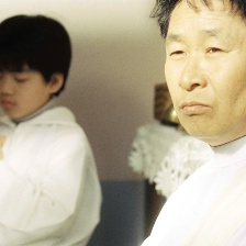 修剪葡萄藤