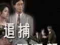追捕野狼幫