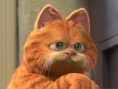 加菲猫
