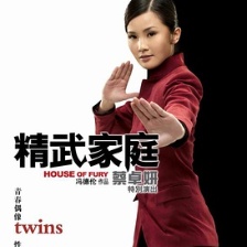 精武家庭