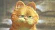 加菲猫2