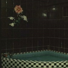 大鯊魚