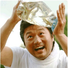 夢想成真