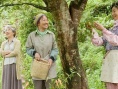 多彩人生
