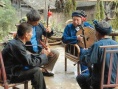 杜鵑花開