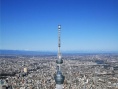 剧场版 东京天空树 世界的秘密