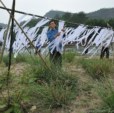 女人河