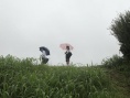 喂！你好，這里是大冢藥局