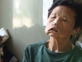 冬柏小姐