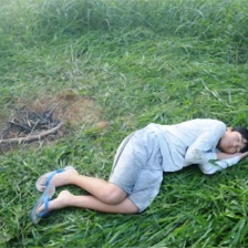 山羊的冒險