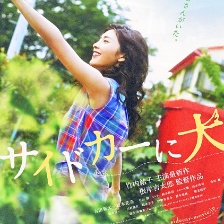 挎斗摩托車里的狗